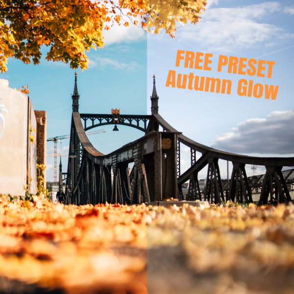 MR Autumn Glow LR Preset FREE [Digital]