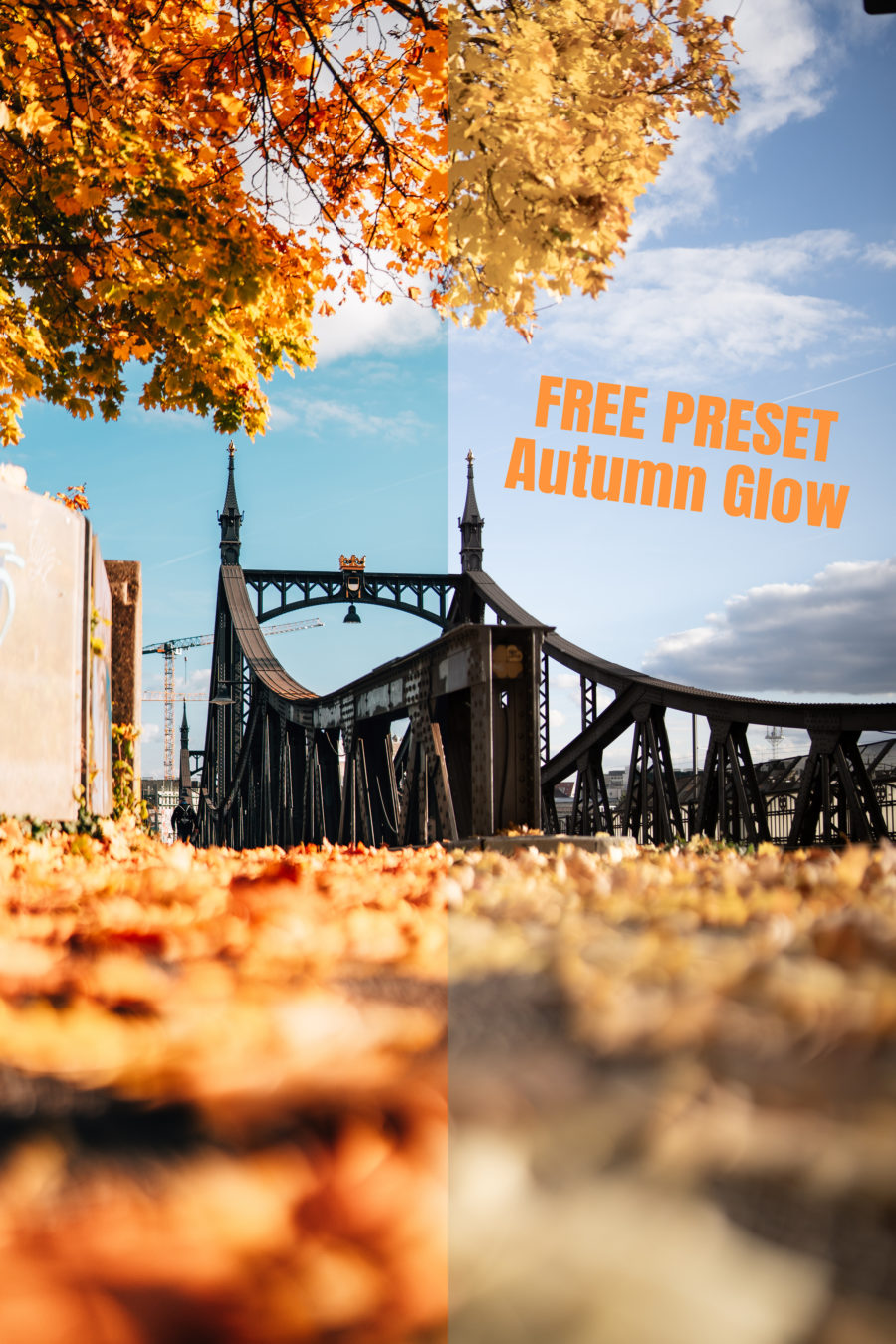 MR Autumn Glow LR Preset FREE [Digital]